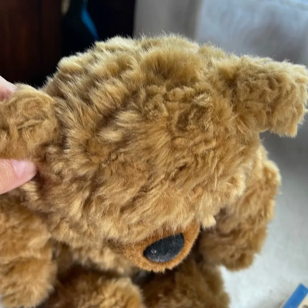 10” DGE plush curly haired Teddy bear with red heart.